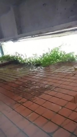 探花小巷子小哥城中村扫街快餐坐路边玩手机红衣美女准备再探美女被站街女发现偷拍被几个鸡头围住翻车