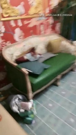 大一学生 形象好气质佳的小骚货下海直播,穿上性感肚兜舔鸡巴嗦了蛋,各种抽插,最后口爆射了满满一嘴营养液